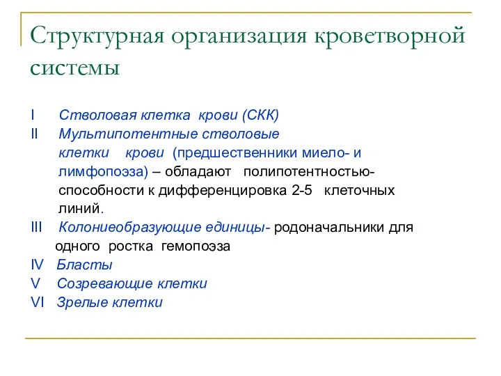 Структурная организация кроветворной системы I Cтволовая клетка крови (CКК) II