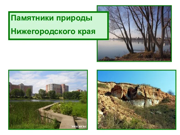 Памятники природы Нижегородского края