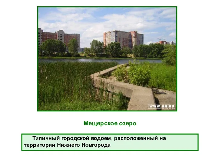 Мещерское озеро Типичный городской водоем, расположенный на территории Нижнего Новгорода