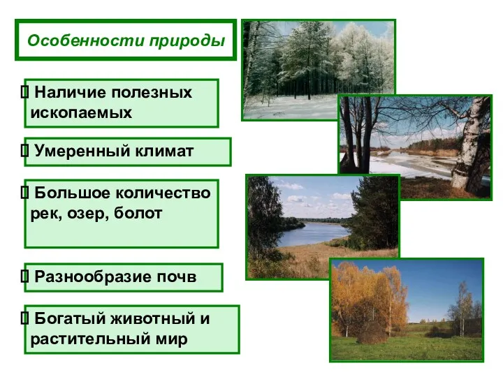 Особенности природы Умеренный климат Наличие полезных ископаемых Большое количество рек, озер, болот Разнообразие