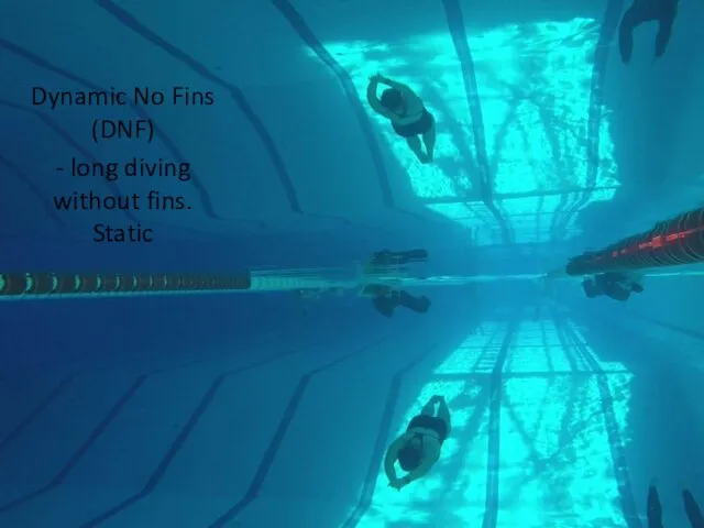 Dynamic No Fins (DNF) - long diving without fins. Static