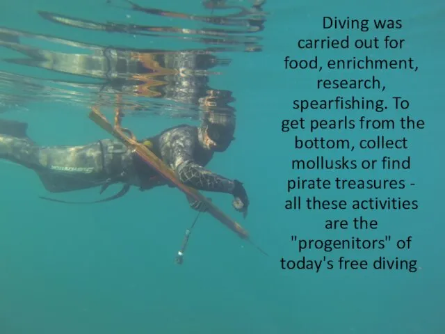 Diving was carried out for food, enrichment, research, spearfishing. To