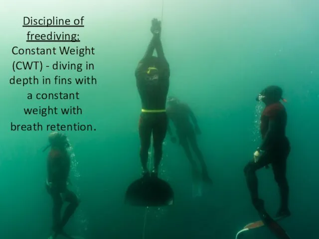 Discipline of freediving: Constant Weight (CWT) - diving in depth