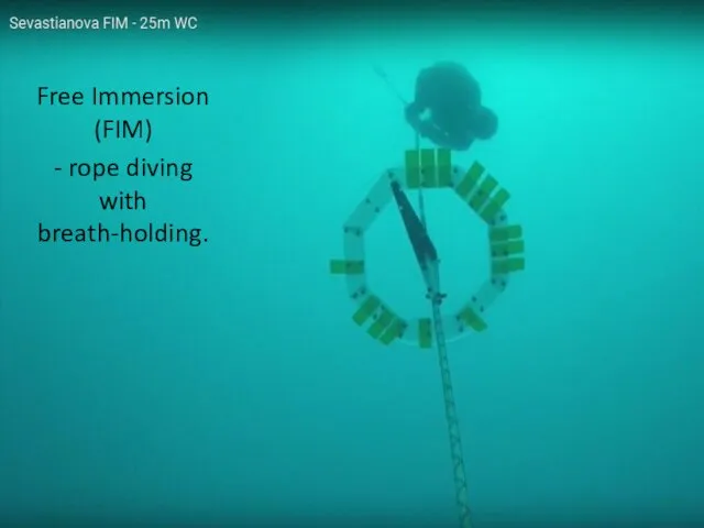 Free Immersion (FIM) - rope diving with breath-holding.