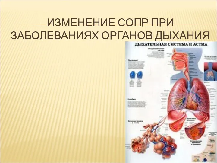 ИЗМЕНЕНИЕ СОПР ПРИ ЗАБОЛЕВАНИЯХ ОРГАНОВ ДЫХАНИЯ