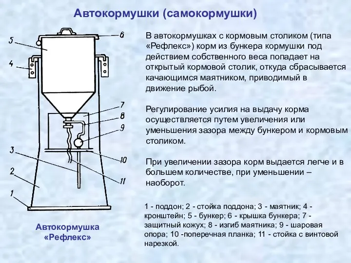 Автокормушки (самокормушки) В автокормушках с кормовым столиком (типа «Рефлекс») корм