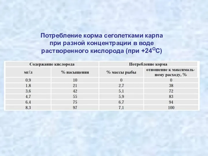 Потребление корма сеголетками карпа при разной концентрации в воде растворенного кислорода (при +24ОС)