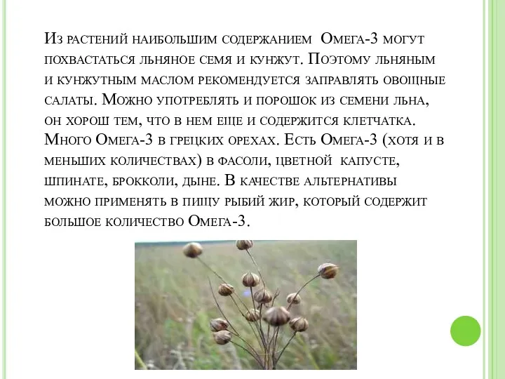 Из растений наибольшим содержанием Омега-3 могут похвастаться льняное семя и