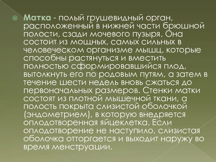 Матка - полый грушевидный орган, расположенный в нижней части брюшной