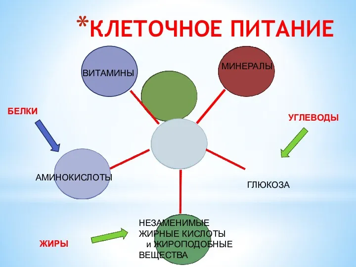 КЛЕТОЧНОЕ ПИТАНИЕ МИНЕРАЛЫ ВИТАМИНЫ АМИНОКИСЛОТЫ НЕЗАМЕНИМЫЕ ЖИРНЫЕ КИСЛОТЫ и ЖИРОПОДОБНЫЕ ВЕЩЕСТВА ГЛЮКОЗА ЖИРЫ БЕЛКИ УГЛЕВОДЫ