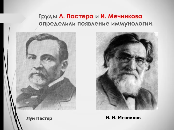 Труды Л. Пастера и И. Мечникова определили появление иммунологии. Луи Пастер И. И. Мечников