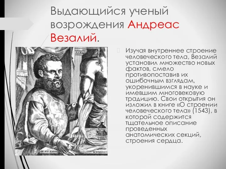 Выдающийся ученый возрождения Андреас Везалий. Изучая внутреннее строение человеческого тела,