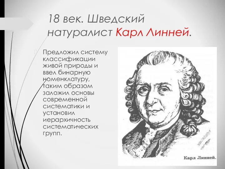 18 век. Шведский натуралист Карл Линней. Предложил систему классификации живой