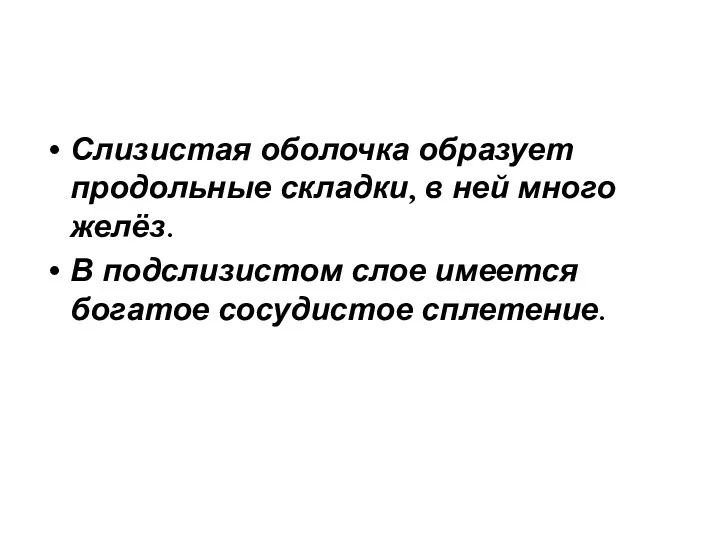 Слизистая оболочка образует продольные складки, в ней много желёз. В подслизистом слое имеется богатое сосудистое сплетение.