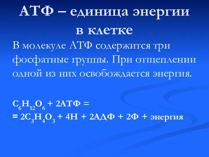 АТФ – единица энергии в клетке В молекуле АТФ содержится