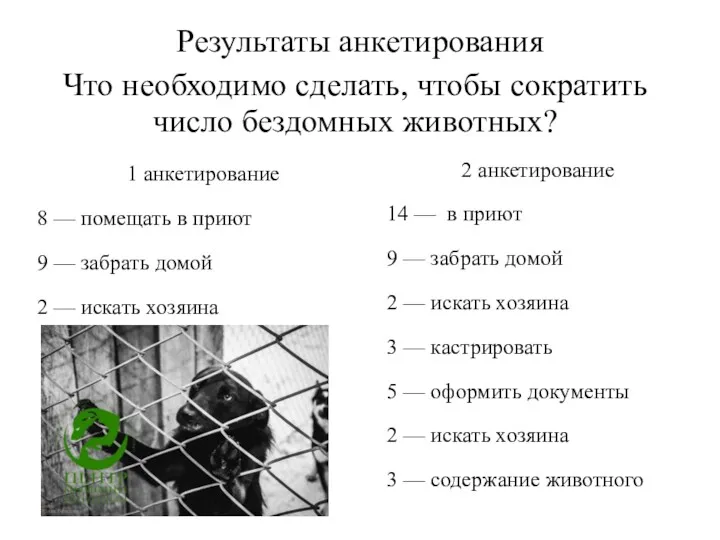 Результаты анкетирования Что необходимо сделать, чтобы сократить число бездомных животных?