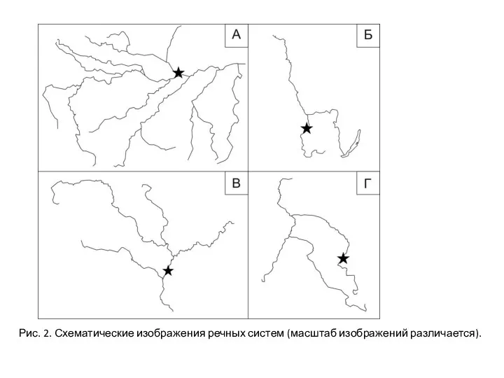 Рис. 2. Схематические изображения речных систем (масштаб изображений различается).