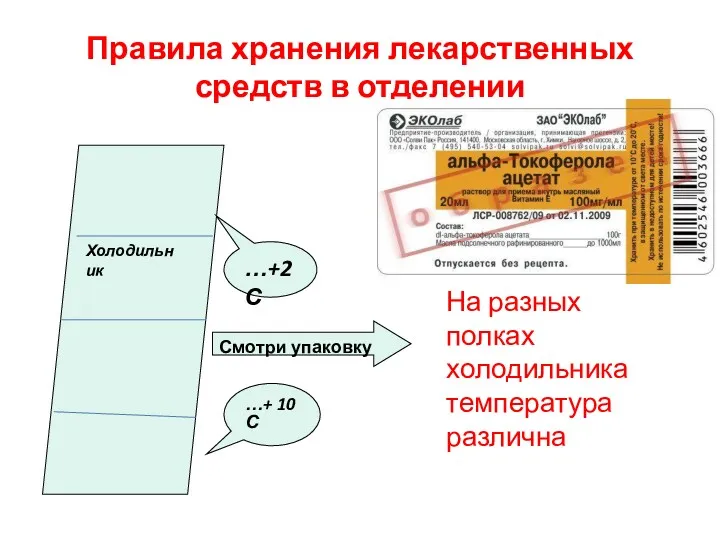 Правила хранения лекарственных средств в отделении На разных полках холодильника