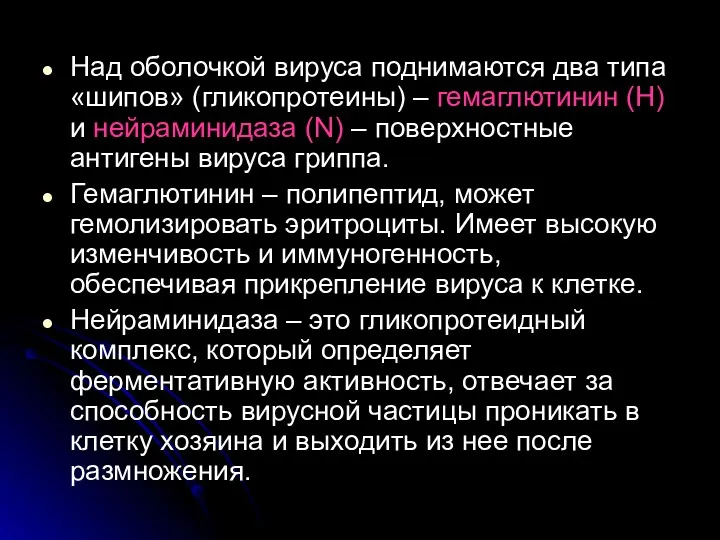 Над оболочкой вируса поднимаются два типа «шипов» (гликопротеины) – гемаглютинин (Н) и нейраминидаза