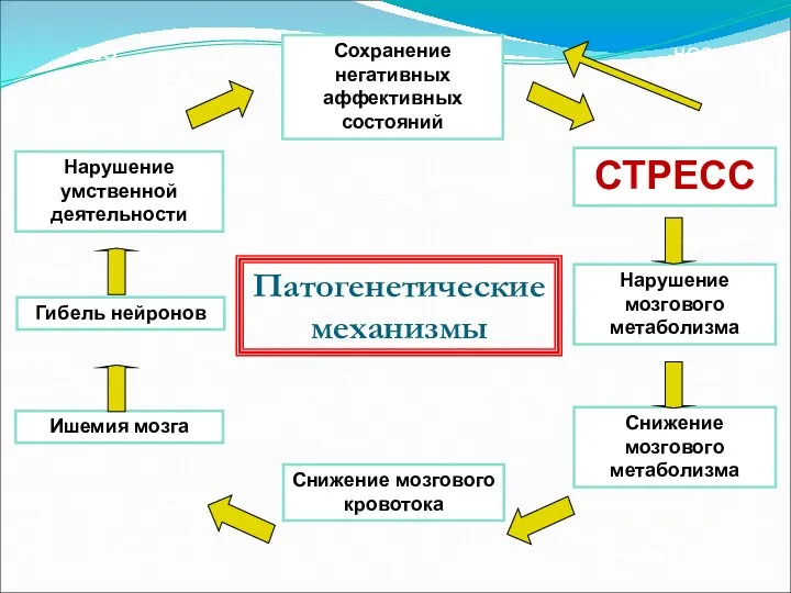 НОО НОО НОО НОО Патогенетические механизмы