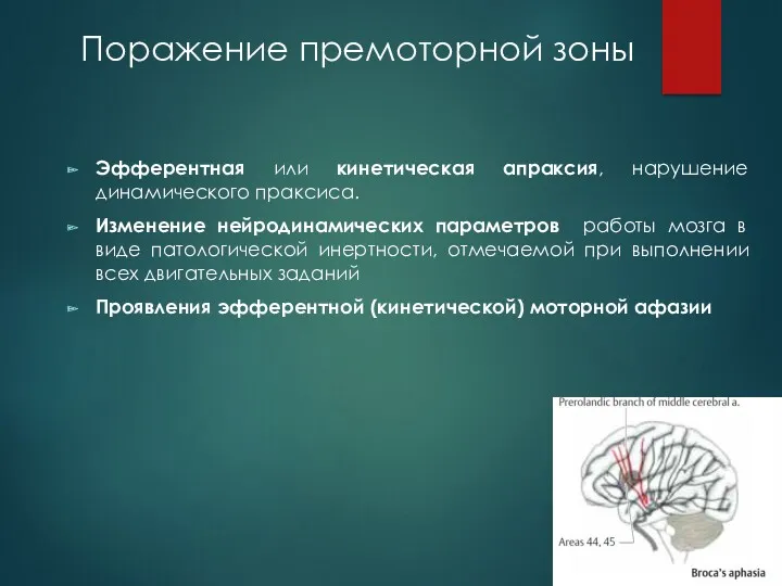 Поражение премоторной зоны Эфферентная или кинетическая апраксия, нарушение динамического праксиса.