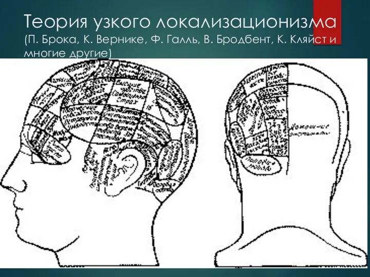 Теория узкого локализационизма (П. Брока, К. Вернике, Ф. Галль, В. Бродбент, К. Кляйст и многие другие)