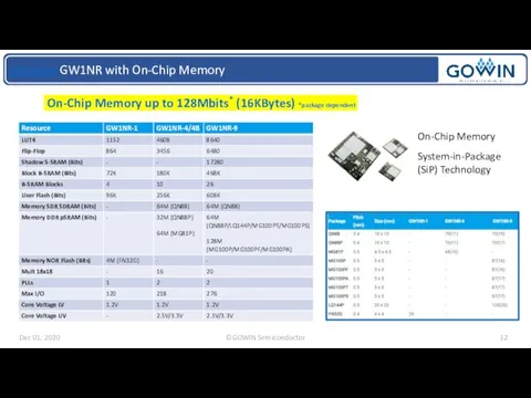 LittleBee GW1NR with On-Chip Memory On-Chip Memory up to 128Mbits*