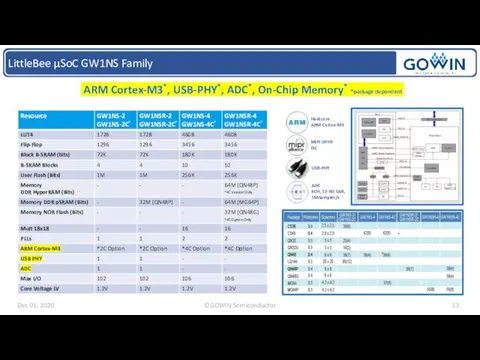 LittleBee µSoC GW1NS Family ARM Cortex-M3*, USB-PHY*, ADC*, On-Chip Memory*