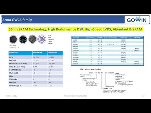 Arora GW2A family 55nm SRAM Technology, High Performance DSP, High-Speed