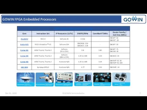 GOWIN FPGA Embedded Processors