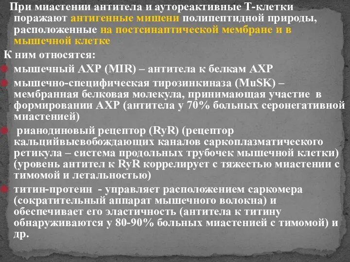 При миастении антитела и аутореактивные Т-клетки поражают антигенные мишени полипептидной