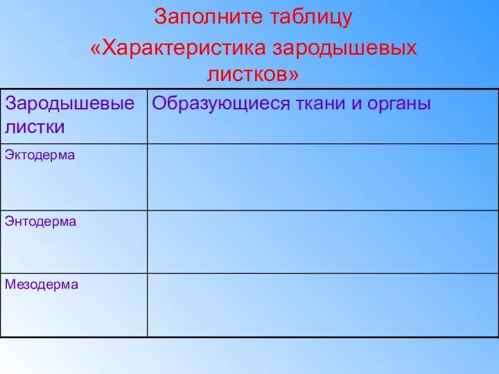 Заполните таблицу «Характеристика зародышевых листков»