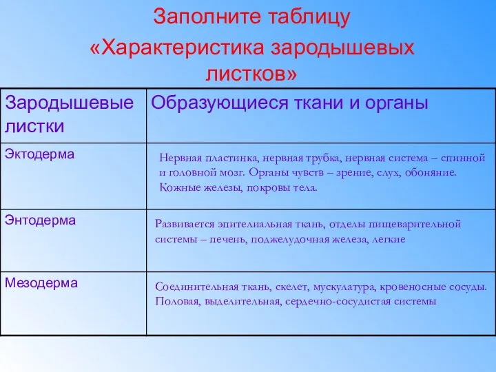 Заполните таблицу «Характеристика зародышевых листков» Нервная пластинка, нервная трубка, нервная