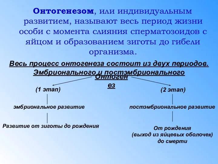 Онтогенезом, или индивидуальным развитием, называют весь период жизни особи с