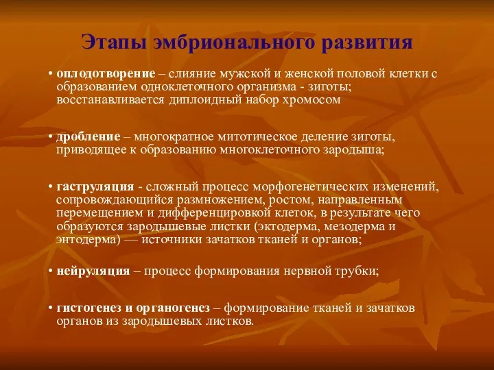 Этапы эмбрионального развития • оплодотворение – слияние мужской и женской