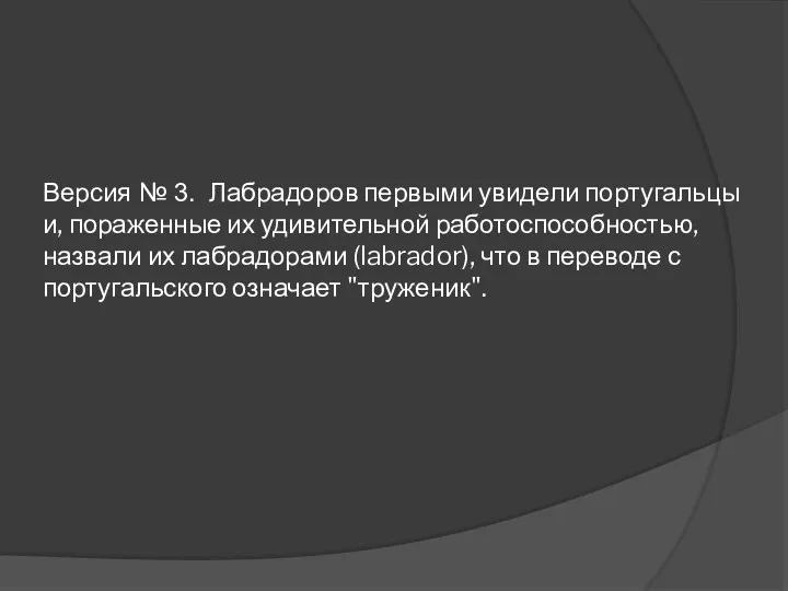 Версия № 3. Лабрадоров первыми увидели португальцы и, пораженные их