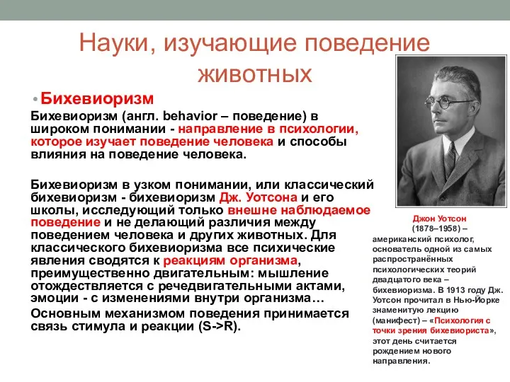 Науки, изучающие поведение животных Бихевиоризм Бихевиоризм (англ. behavior – поведение)