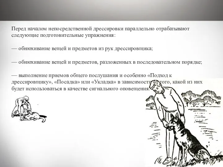 Перед началом непосредственной дрессировки параллельно отрабатывают следующие подготовительные упражнения: —