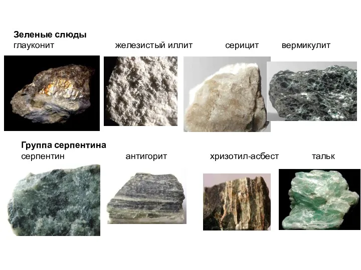 Зеленые слюды глауконит железистый иллит серицит вермикулит Группа серпентина серпентин антигорит хризотил-асбест тальк