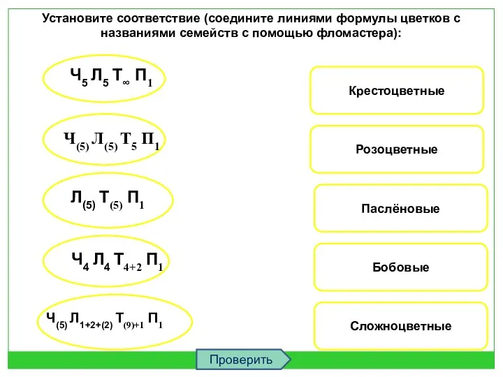 Крестоцветные Розоцветные Паслёновые Бобовые Сложноцветные Установите соответствие (соедините линиями формулы