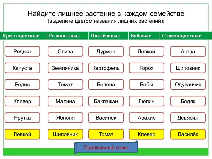 Найдите лишнее растение в каждом семействе (выделите цветом названия лишних