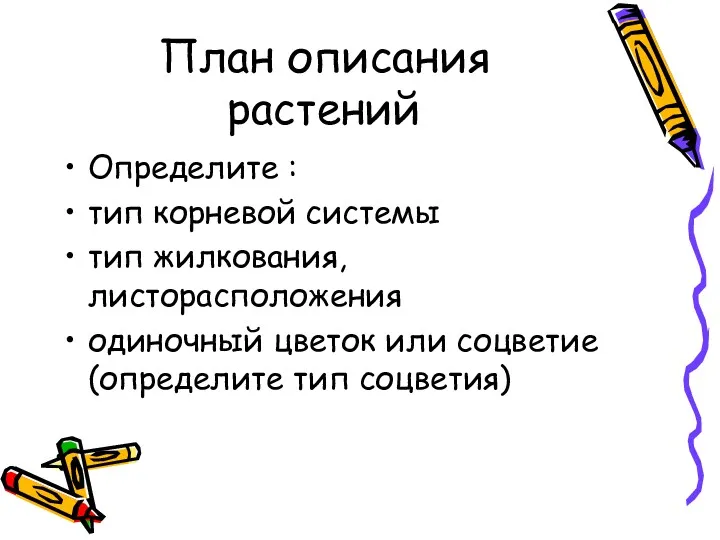 План описания растений Определите : тип корневой системы тип жилкования,