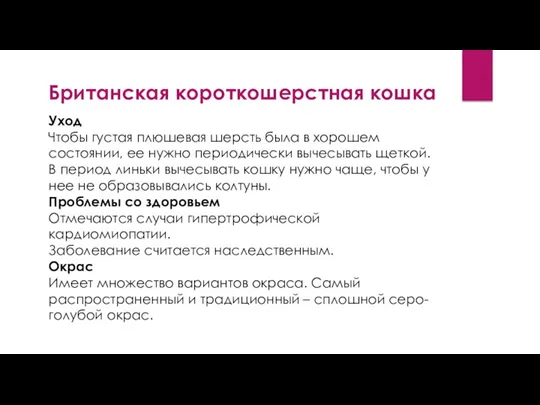 Британская короткошерстная кошка Уход Чтобы густая плюшевая шерсть была в