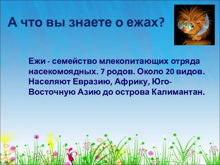 А что вы знаете о ежах? Ежи - семейство млекопитающих