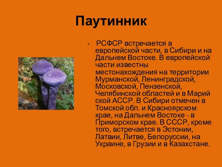 Паутинник РСФСР встречается в европейской части, в Сибири и на