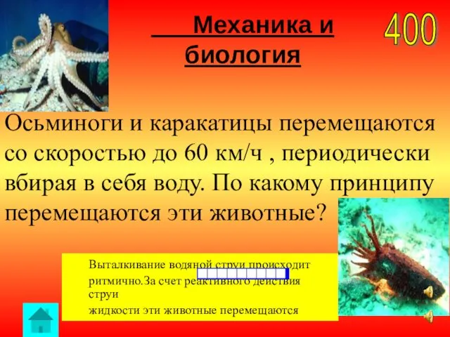 Механика и биология 400 Выталкивание водяной струи происходит ритмично.За счет