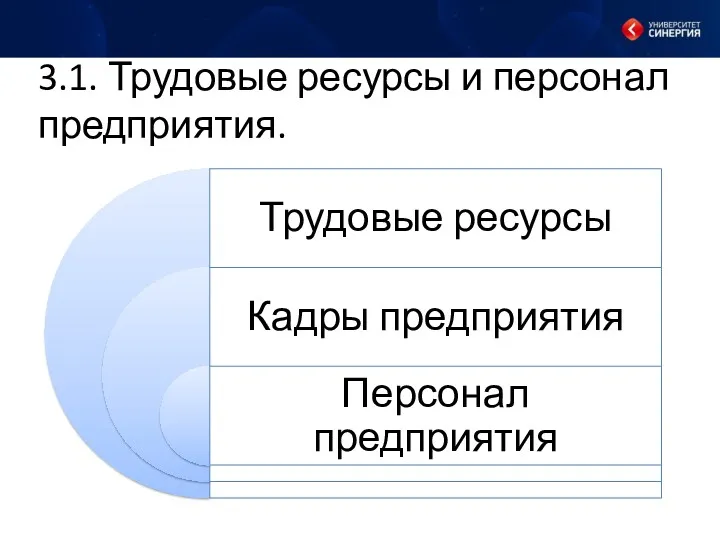 3.1. Трудовые ресурсы и персонал предприятия.