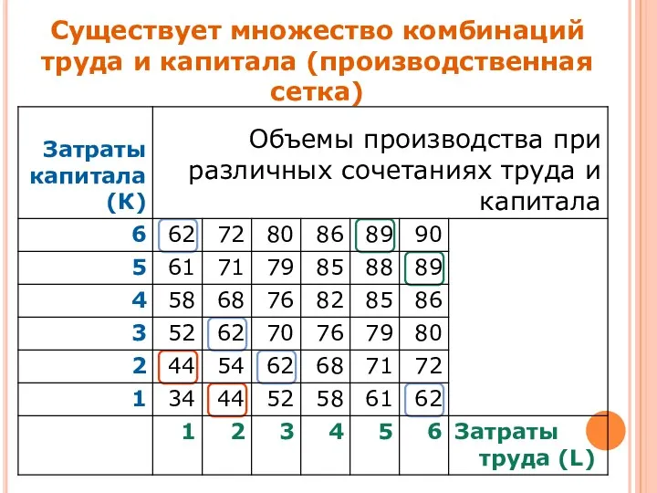 Существует множество комбинаций труда и капитала (производственная сетка)