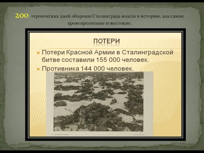 200 героических дней обороны Сталинграда вошли в историю, как самые кровопролитные и жестокие.