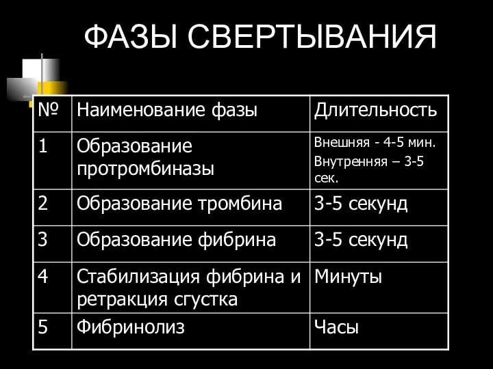 ФАЗЫ СВЕРТЫВАНИЯ